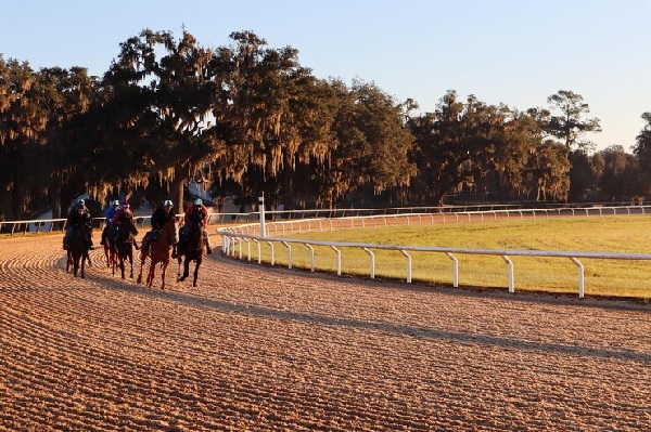Carrera de caballos ganador y colocado